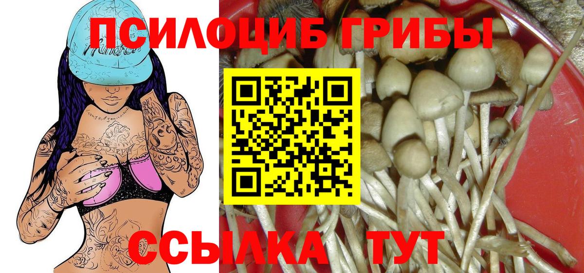 Псилоцибиновые грибы Cubensis Дюртюли